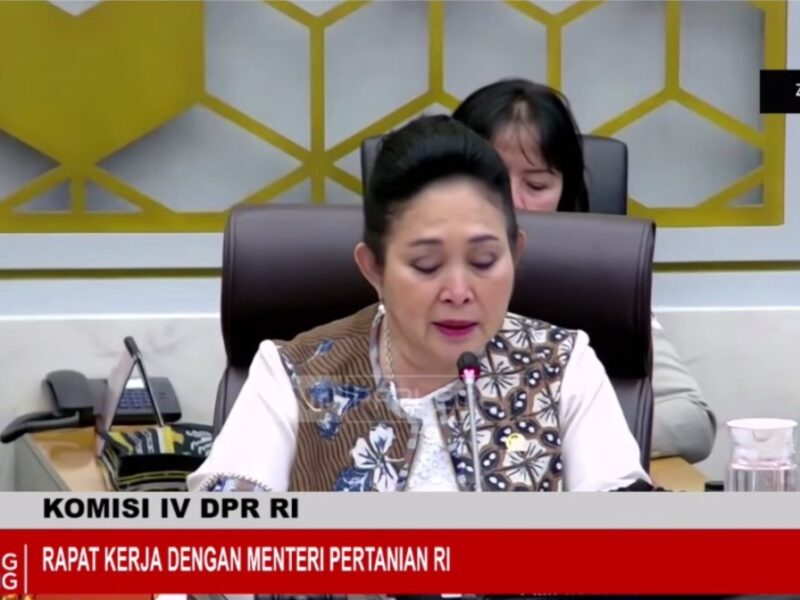 Mentan Tegaskan Beras Lama Tak Layak Konsumsi Tidak Akan Diedarkan