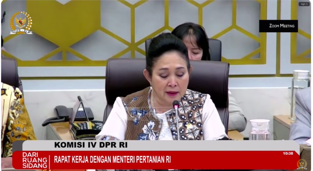 Mentan Tegaskan Beras Lama Tak Layak Konsumsi Tidak Akan Diedarkan