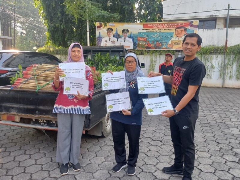BMT Fastabiq Donasikan 1.000 Bibit Mangrove untuk HUT Koperasi ke-78 di Jawa Tengah