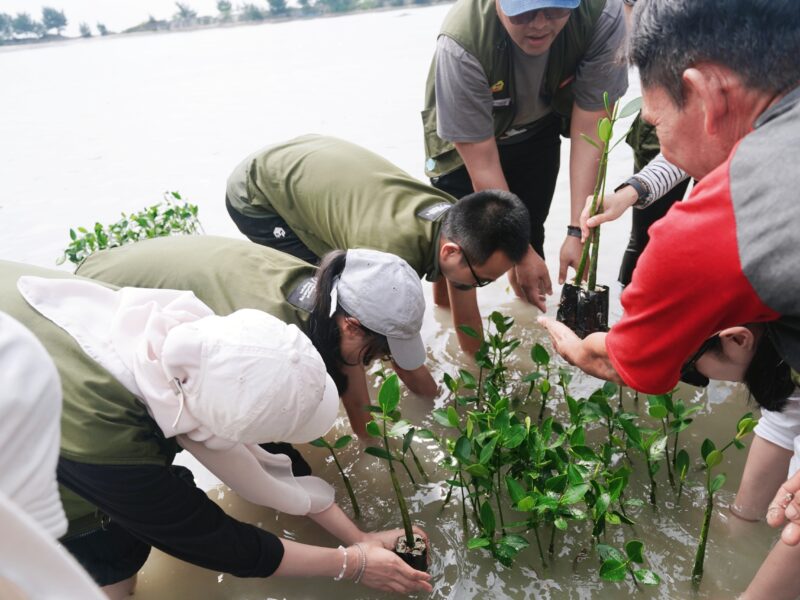 Penanaman bibit mangrove di Pulau Pramuka.