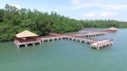 Pulau Handeuleum Tutup Sementara, Translokasi Badak Jawa Dimulai September