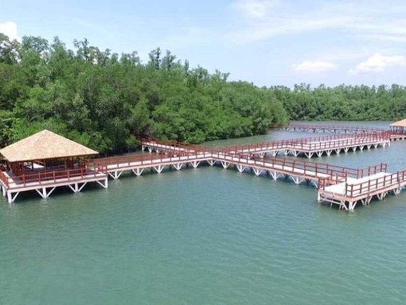 Pulau Handeuleum Tutup Sementara, Translokasi Badak Jawa Dimulai September