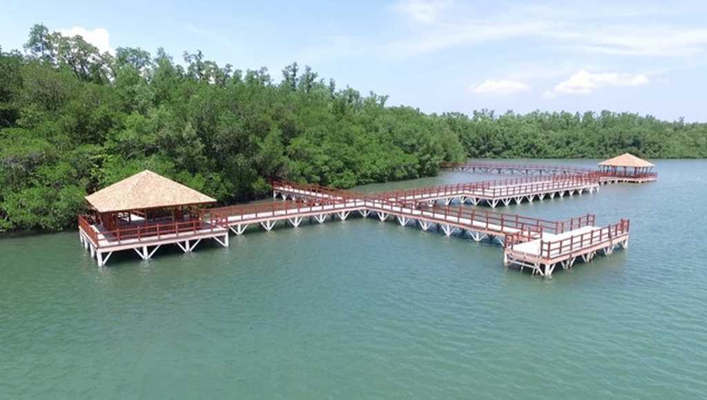 Pulau Handeuleum Tutup Sementara, Translokasi Badak Jawa Dimulai September