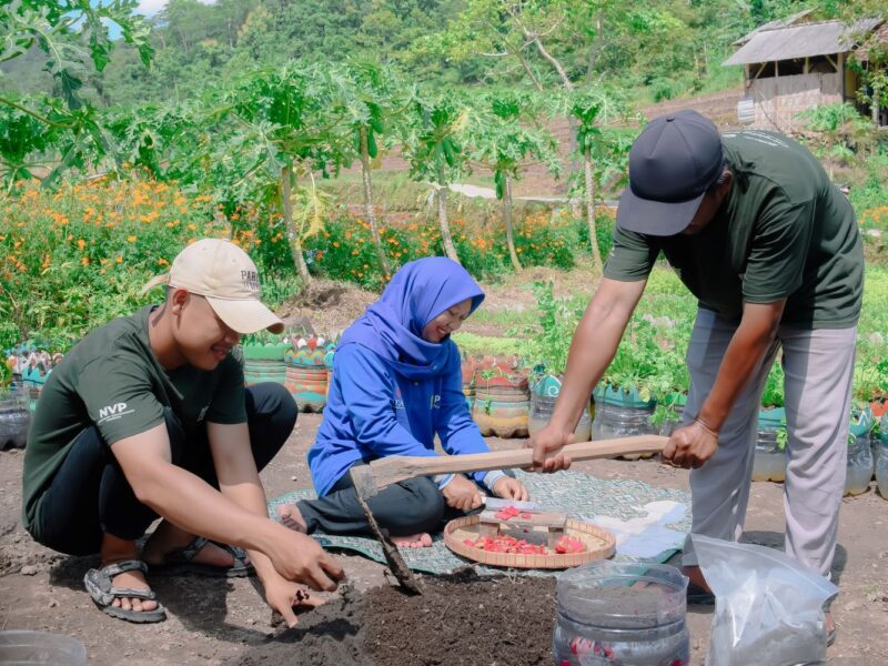 Masyarakat binaan memanfaatkan kulit buah naga sebagai bahan pupuk organik dalam program CSR PIJAR GEMILANG yang diinisiasi oleh PLN Nusantara Power UP Rembang.