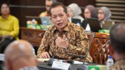 Wakil Menteri Koperasi Ferry Juliantono.