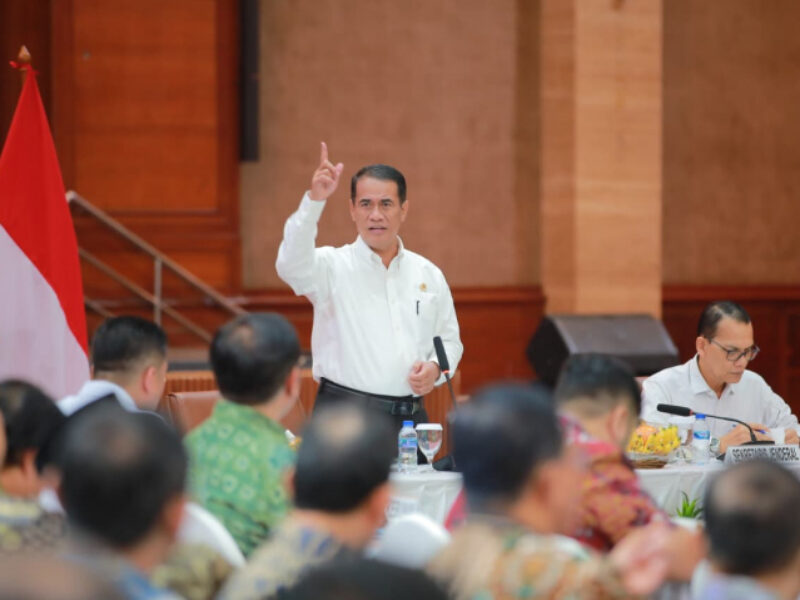 Menteri Pertanian Andi Amran Sulaiman.