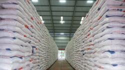Stok beras di Bulog. Foto: pertanian.go.id