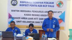 Strategi Pintu Air: Perkuat Pengawasan dan Sinergi Internal untuk Jaga Kesehatan Kredit