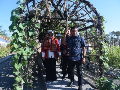 Saatnya NTT Bangkitkan Komoditas Unggulan