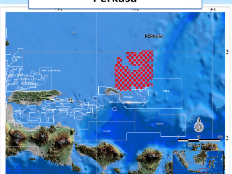 WK Perkasa berada di lepas pantai Jawa Timur dengan perkiraan cadangan sekitar 228 juta barel minyak (Millions Barrel Oil/MMBO) atau 1,3 triliun kaki kubik gas (Trillion Cubic Feet/TCF). Foto: esdm