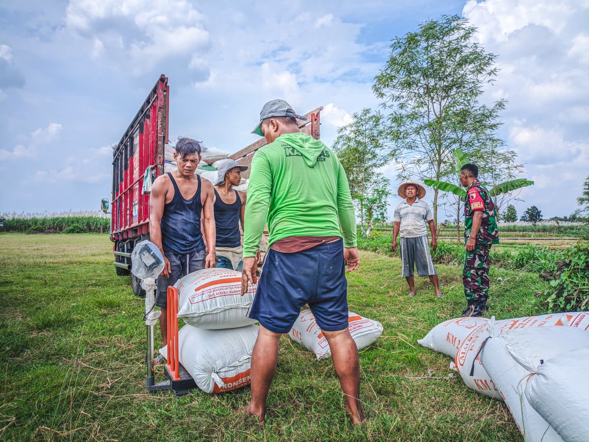 BULOG Serap Gabah dan Beras Dalam Negeri Tapi dengan Skema Komersial