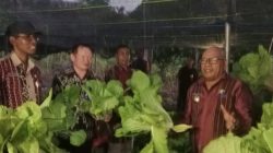 Kopdit Pintu Air Bersinergi dengan Pemkab Lembata, Dorong Pemberdayaan Petani Hortikultura