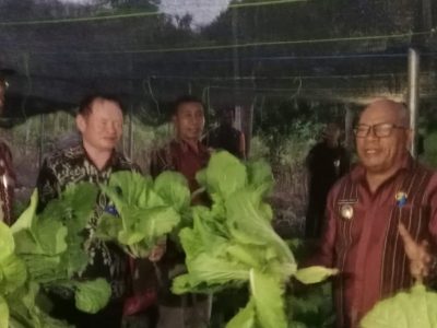 Kopdit Pintu Air Bersinergi dengan Pemkab Lembata, Dorong Pemberdayaan Petani Hortikultura