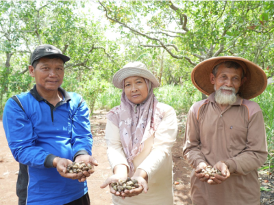 Hilirisasi Kunci Penguatan Ekonomi Perkebunan