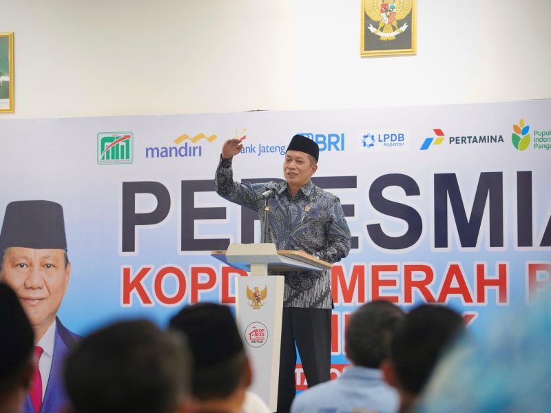 Menteri Koperasi Ferry Juliantono.