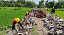 Proyek di wilayah ini berfokus pada penguatan kawasan pertanian sebagai basis ekonomi masyarakat setempat dengan lingkup pekerjaan meliputi pembangunan jalan beton usaha tani, plat duiker, dan dinding penahan tanah (DPT).