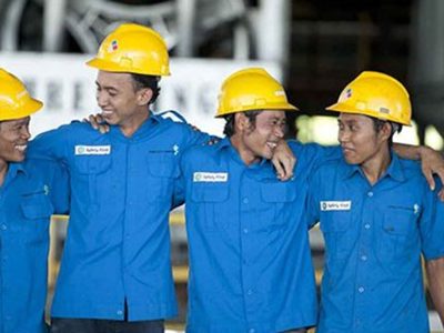 Emiten Sawit Dharma Satya Genjot Pendapatan 25%