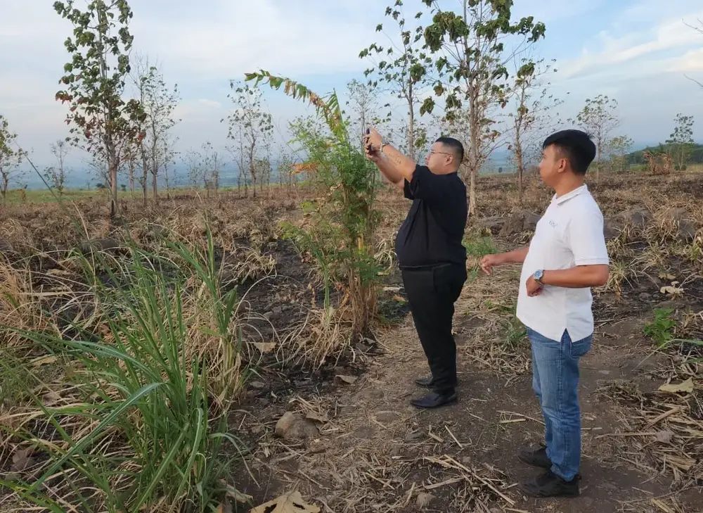 PT Pangan Jaya Baya Gandeng UGM Kelola 22.000 Ha Tebu untuk Industri Gula