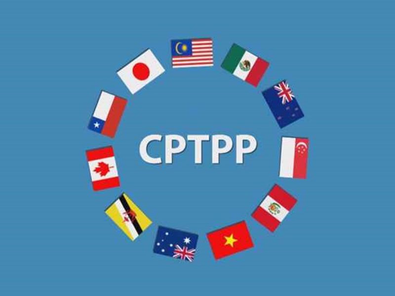Perkuat Kerja Sama Perdagangan di Kawasan Indo-Pasifik, Indonesia Siap Gabung CPTPP