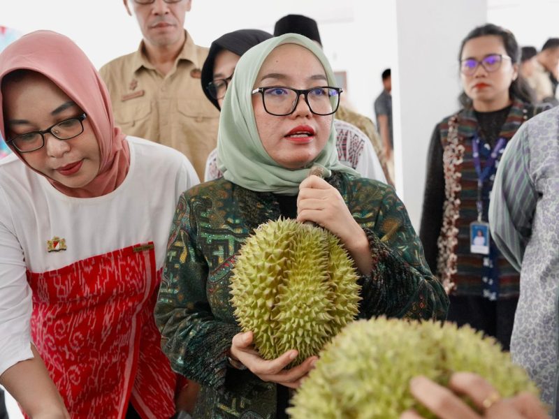 Wakil Menteri Koperasi (Wamenkop) Farida Farichah.