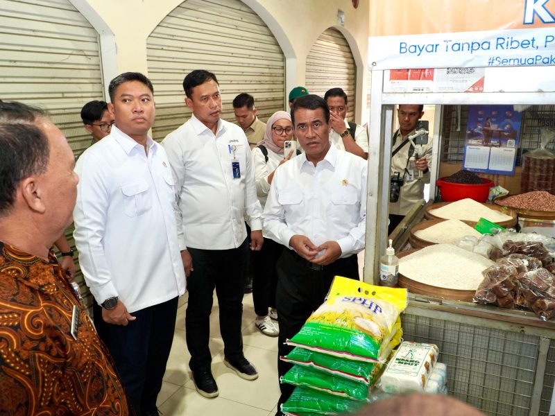 Pemerintah Pastikan Harga Beras Stabil Jelang Nataru, 214 Daerah Alami Penurunan