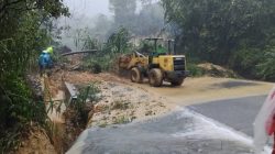 Berdasarkan hasil inspeksi hingga 1 Desember 2025, tercatat 14 jembatan roboh atau terputus akibat tingginya debit air dan kerusakan oprit pada sejumlah titik.