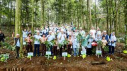 PLN Nusantara Power (PLN NP) bekerja sama dengan Yayasan Hutan Organik melaksanakan penanaman 3.000 pohon di Hutan Organik Megamendung, Bogor.