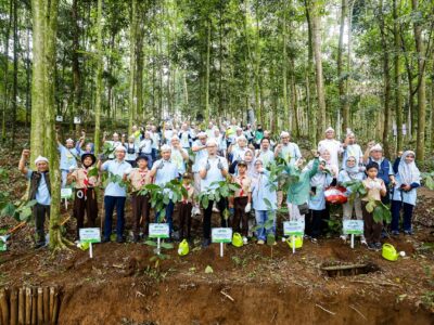 PLN NP dan Yayasan Hutan Organik Rehabilitasi Lahan Kritis Lewat Reforestasi Terencana