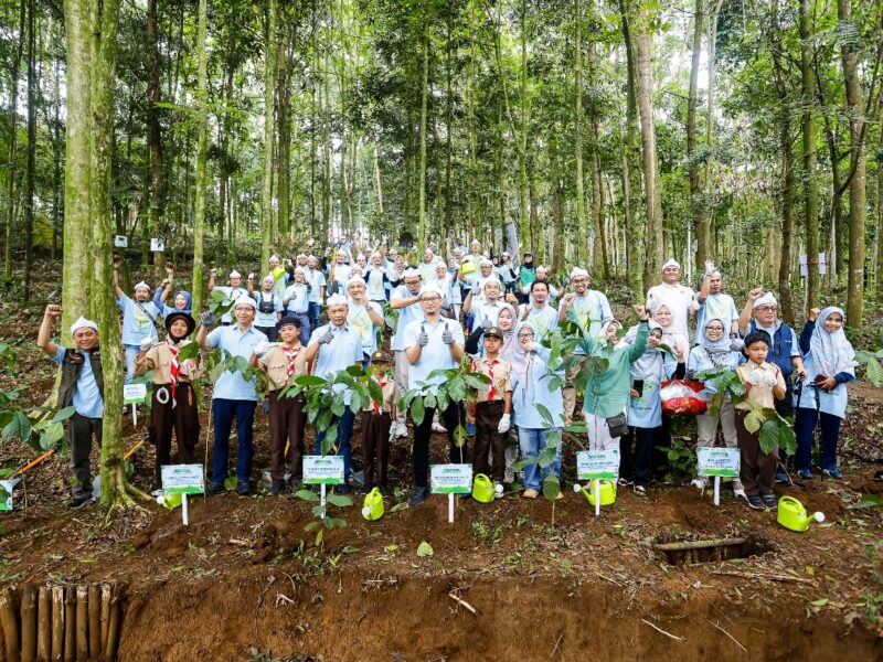 PLN Nusantara Power (PLN NP) bekerja sama dengan Yayasan Hutan Organik melaksanakan penanaman 3.000 pohon di Hutan Organik Megamendung, Bogor.