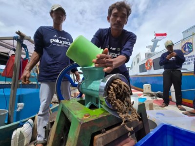 Hadapi Musim Barat, PHE OSES Perkuat Budidaya Ikan Kepulauan Seribu