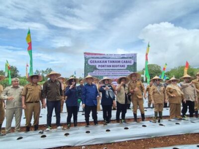 Koperasi BMI Group Dorong Stabilitas Pangan Lewat Gerakan Tanam Cabai