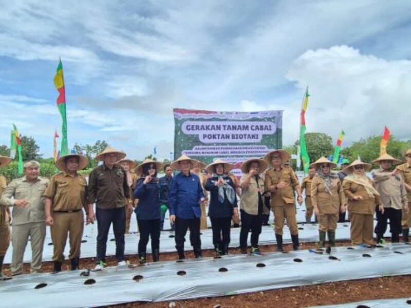 Presiden Direktur Koperasi BMI Group, Kamaruddin Batubara, menghadiri kegiatan Gerakan Tanam Cabai yang digelar Kelompok Tani (Poktan) Biotani. Foto: Ist