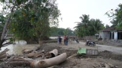 Penanganan difokuskan pada perkuatan tebing sungai sebagai langkah antisipasi terhadap abrasi dan longsor yang berpotensi mengancam keselamatan warga serta infrastruktur di sekitarnya.