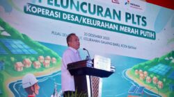 Pulau Sembur Kini Terang: PLTS Kopdes Jadi Motor Ekonomi Nelayan