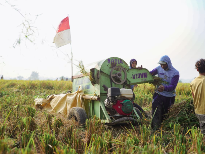 Bapanas Pastikan Program Intervensi Perberasan Berlanjut di 2026