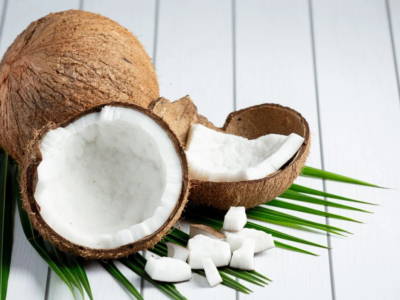 Kementan Siapkan Kebangkitan Komoditas Kelapa