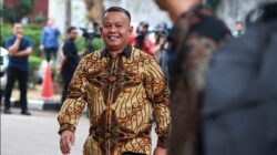 Wamen UMKM Tekankan Diplomasi Dagang dalam Rencana Pembatasan Impor