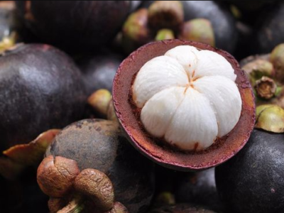 Ekspor Manggis Subang Tembus Pasar China, LPDB Dorong Pembiayaan hingga Rp20 Miliar