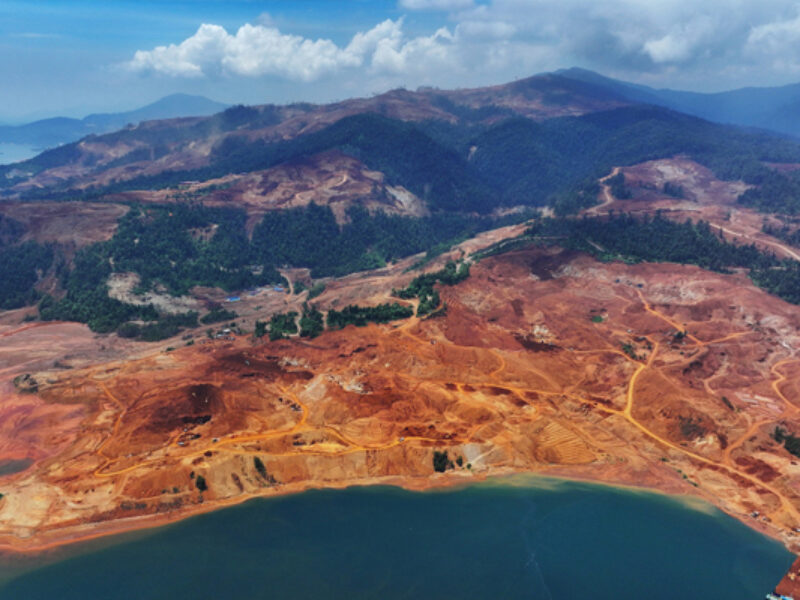 71% Deforestasi Terjadi di Kawasan Hutan