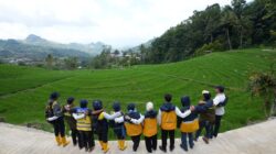 Rekrutmen Tenaga Pendamping Masyarakat (TPM) mulai dibuka.