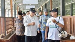 Menko Bidang Pangan Zulkifli Hasan melakukan kunjungan kerja ke Bumiku Bumimu Hijau Farm (BBH Farm).