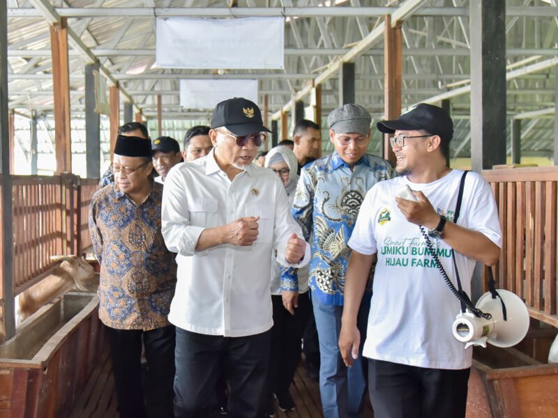 Menko Bidang Pangan Zulkifli Hasan melakukan kunjungan kerja ke Bumiku Bumimu Hijau Farm (BBH Farm).