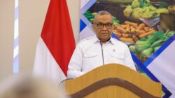 Wakil Menteri Ketenagakerjaan Afriansyah Noor.