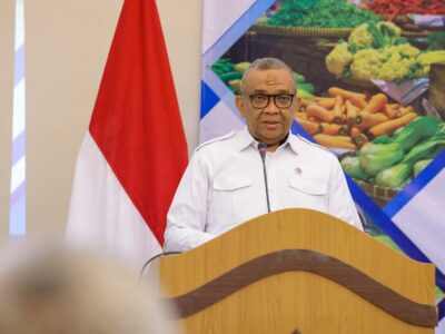 Wakil Menteri Ketenagakerjaan Afriansyah Noor. 