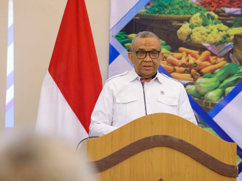 Wakil Menteri Ketenagakerjaan Afriansyah Noor.