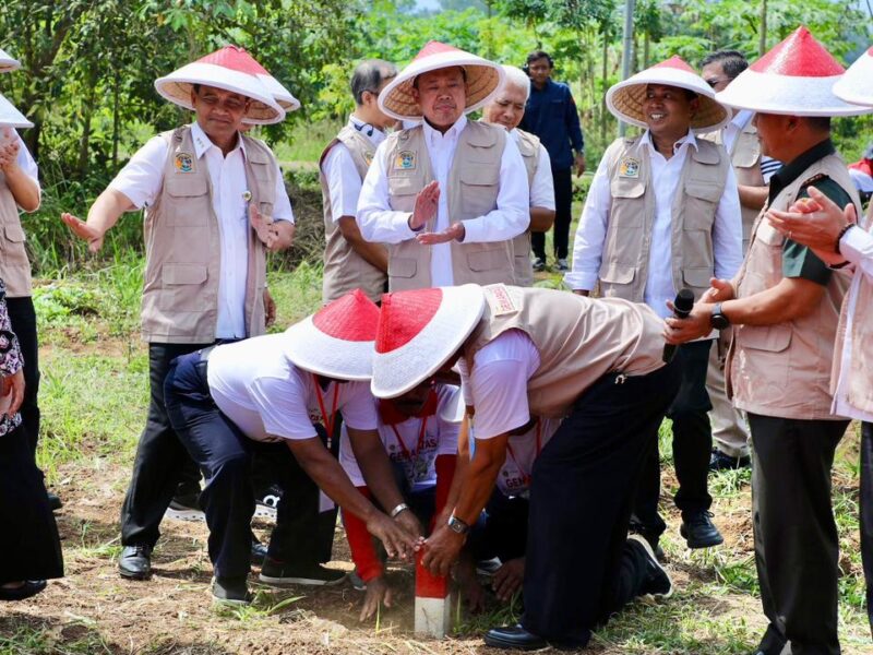 Pasang Patok Jadi Cara Efektif Cegah Sengketa Tanah antar Tetangga