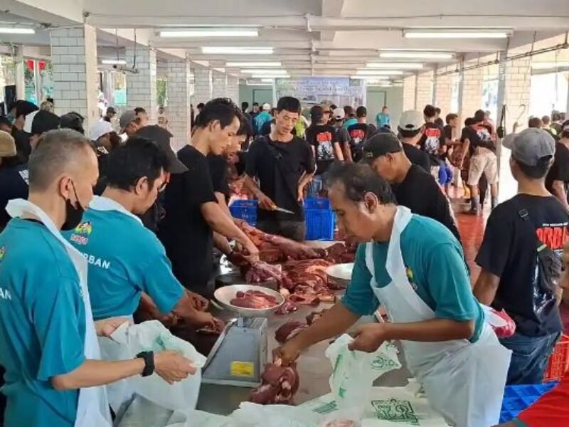 daging kurban