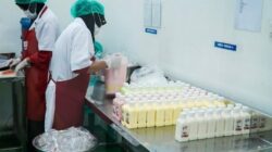 Kontribusi Industri Pangan Capai 38,35 Persen, Kemenperin Genjot Pengembangan IKM
