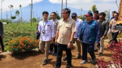 Menaker Yassierli.