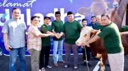 Iduladha 1447 H, LPDB Koperasi Tebar Semangat Berbagi melalui Penyaluran Hewan Kurban